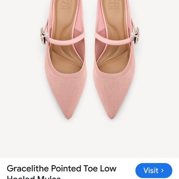 Gracelithe Pointed Toe Low Heeled Mules - Picture 5 of 9